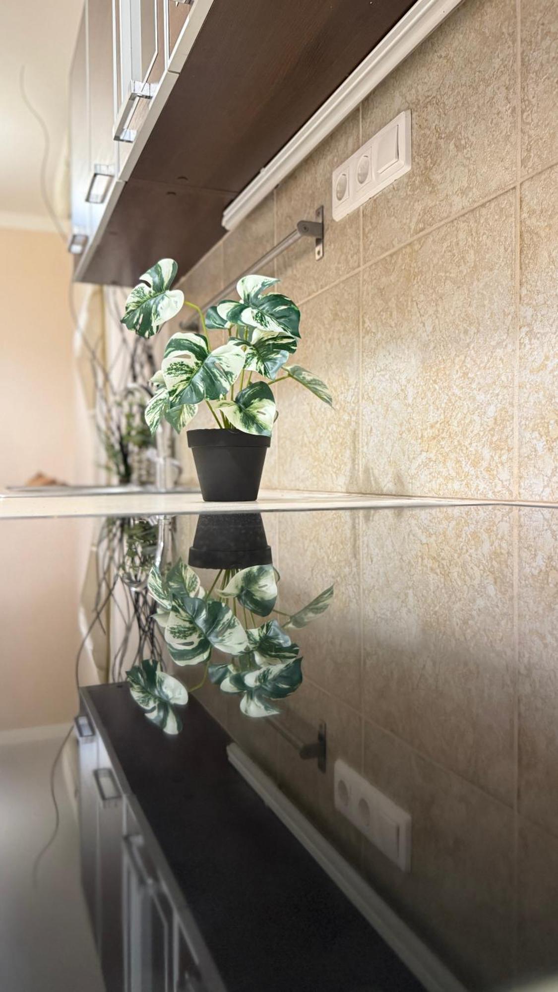 Apartment Vaci Corso