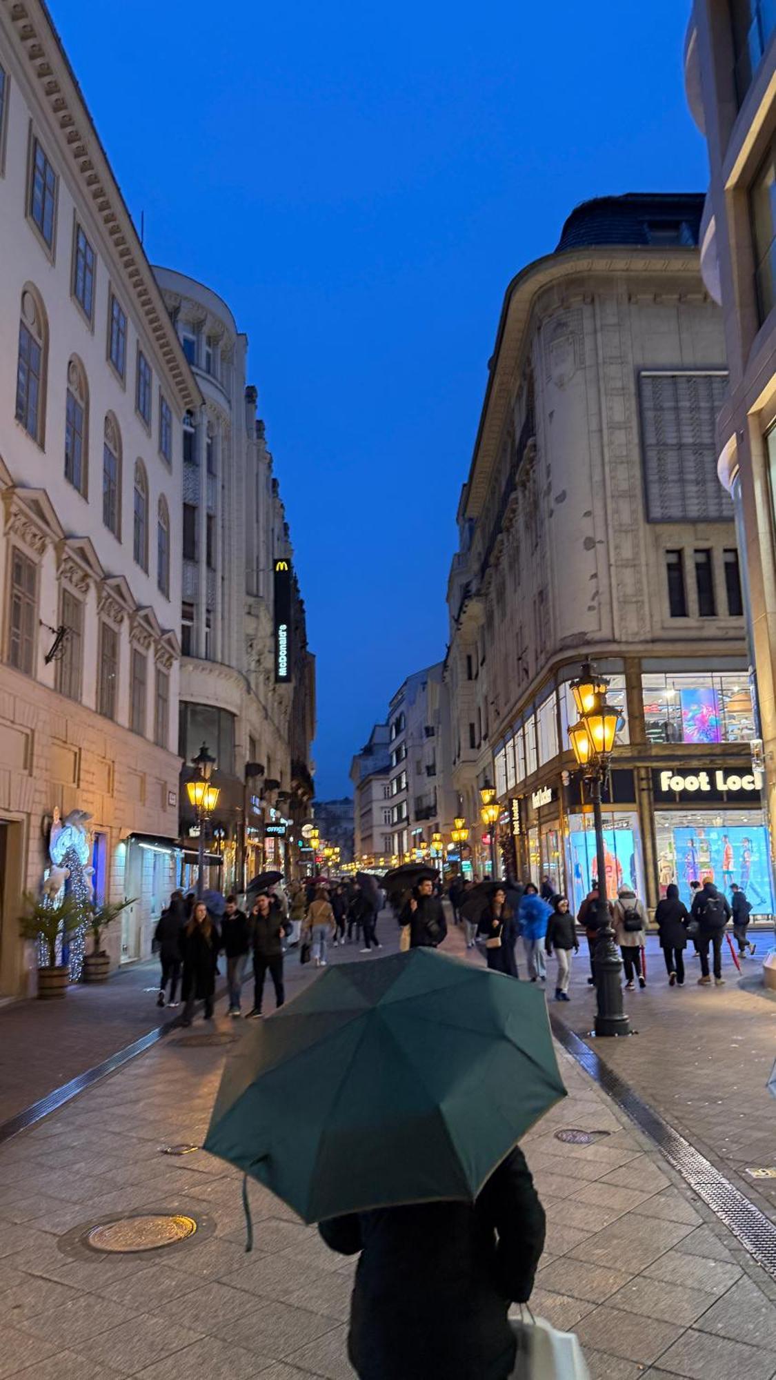Vaci Corso Apartment Budapest