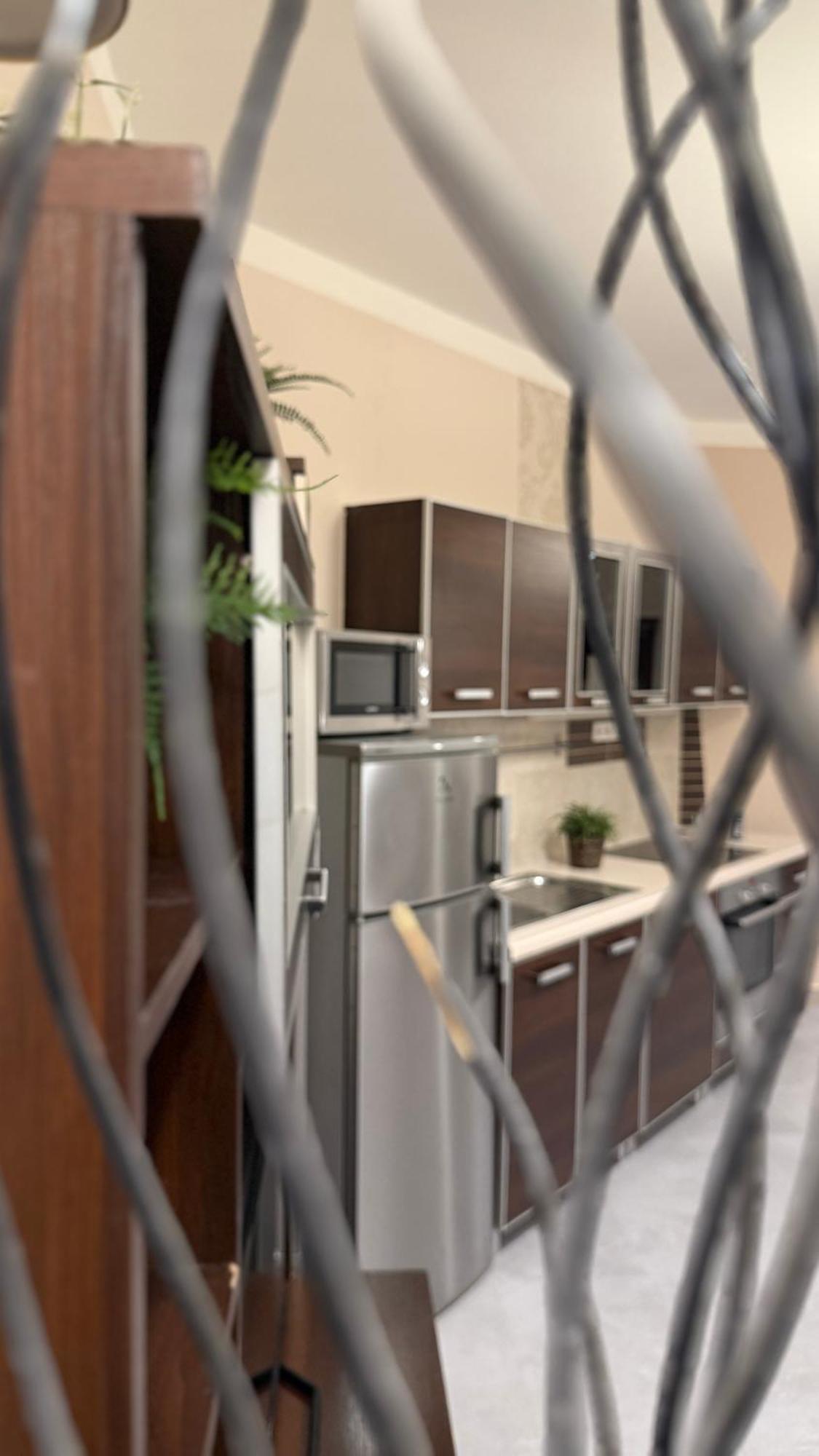 Apartment Vaci Corso *